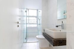 Cairnhill Residences (D9), Apartment #459029231